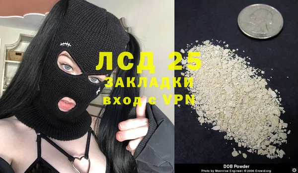 индика Белокуриха