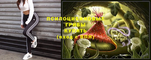 твердый Медногорск