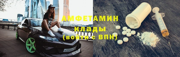 индика Белокуриха