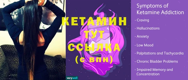 индика Белокуриха