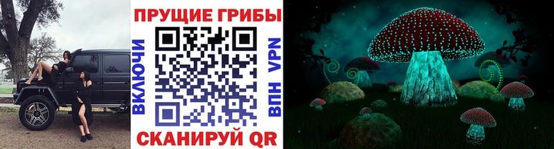 Галлюциногенные грибы Magic Shrooms  Болохово 